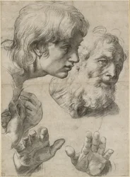 Studies of the heads of two apostles and of their hands, WA1846.209